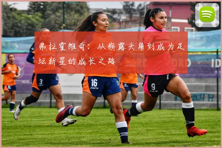 弗拉霍维奇：从崭露头角到成为足坛新星的成长之路