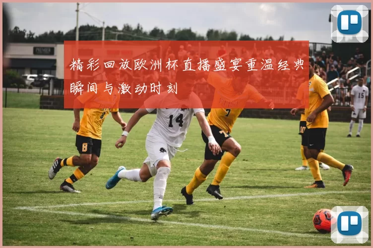精彩回放欧洲杯直播盛宴重温经典瞬间与激动时刻